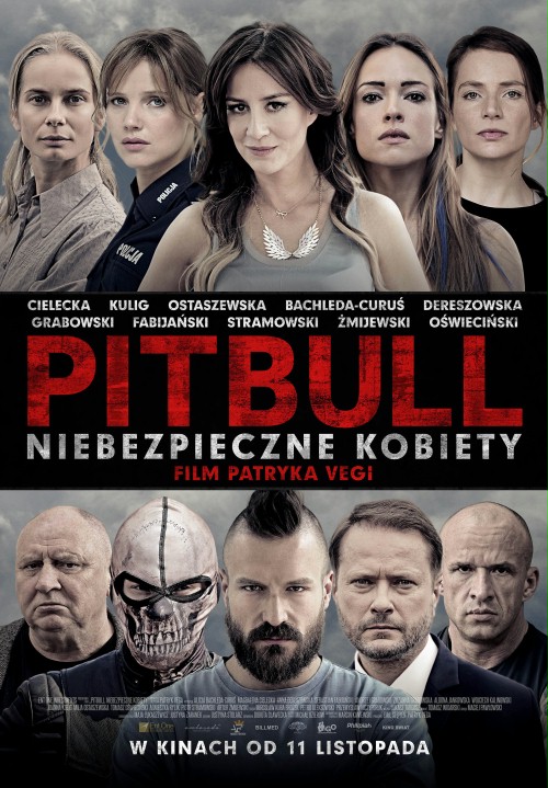 Pitbull-Niebezpieczne-kobiety.jpg